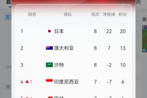 游戏模拟器APP下载-【实时更新】国足C组实时积分：澳大利亚13分 国足6分净胜球-13！